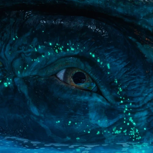 Scéna z filmu Avatar: Oheň a popel, třetího dílu série režiséra Jamese Camerona.