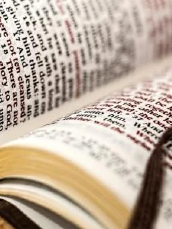 NEJ jilemnické knihovny