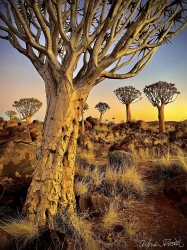 Afrikou z Austrálie do Evropy vlastním obytňákem