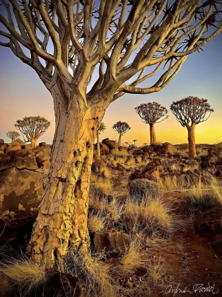 Afrikou z Austrálie do Evropy vlastním obytňákem