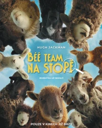 Béé team na stopě