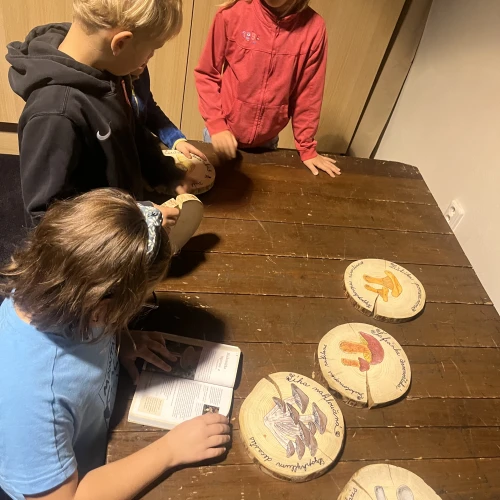 Festival Mezi řádky 2025