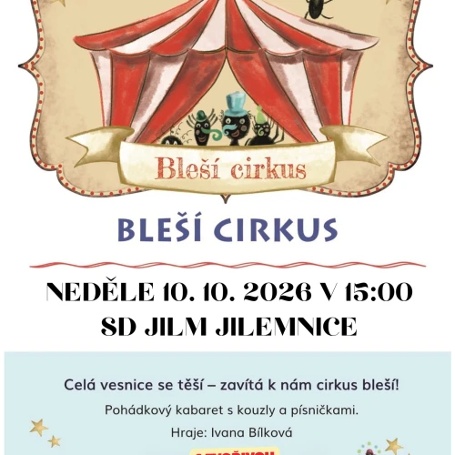 Bleší