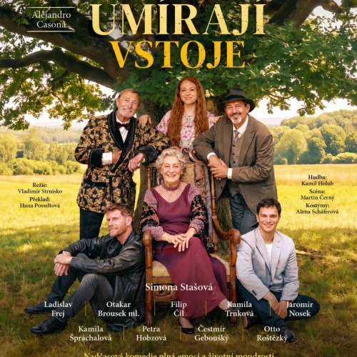 Stromy umírají vstoje